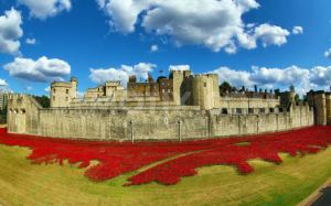 paul-cummins-ceramic-poppies-tower-of-london_01